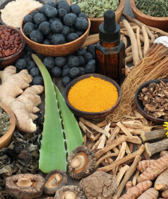 Ayurveda Herbs & Roots